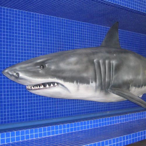 Tiburon Blanco de Fibra de Vidrio en hotel Sea Garden de Nuevo Vallarta