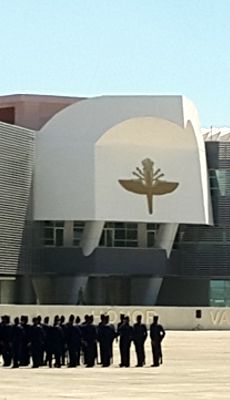 Escuela del aire escultura de fibra de vidrio en forma de aguila